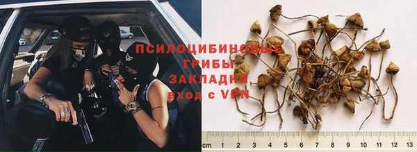 ПСИЛОЦИБИНОВЫЕ ГРИБЫ Балахна