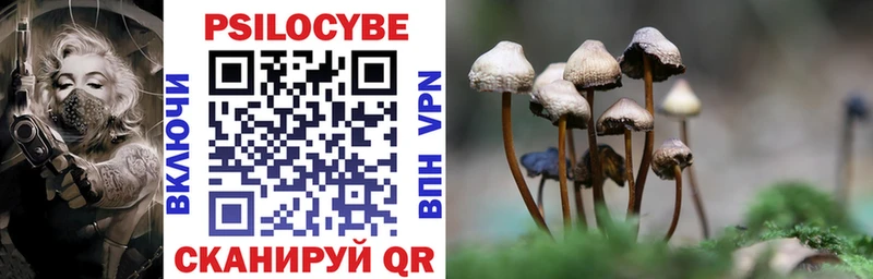 где найти   Магас  Псилоцибиновые грибы мухоморы 